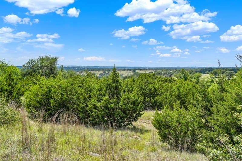 20.5 acres in Gillespie County - photo 23