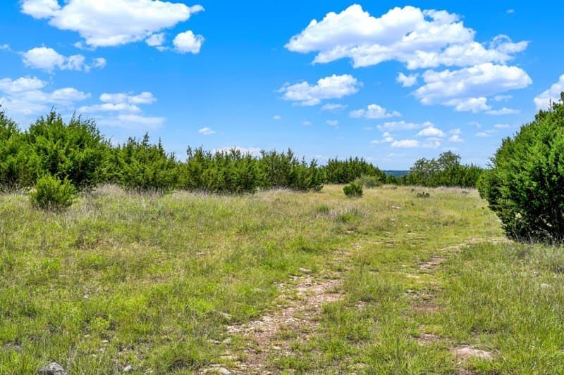20.5 acres in Gillespie County - photo 22
