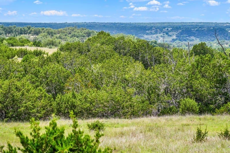 20.5 acres in Gillespie County - photo 17