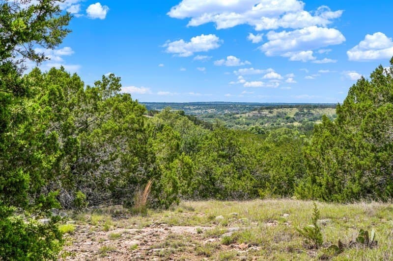 20.5 acres in Gillespie County - photo 25