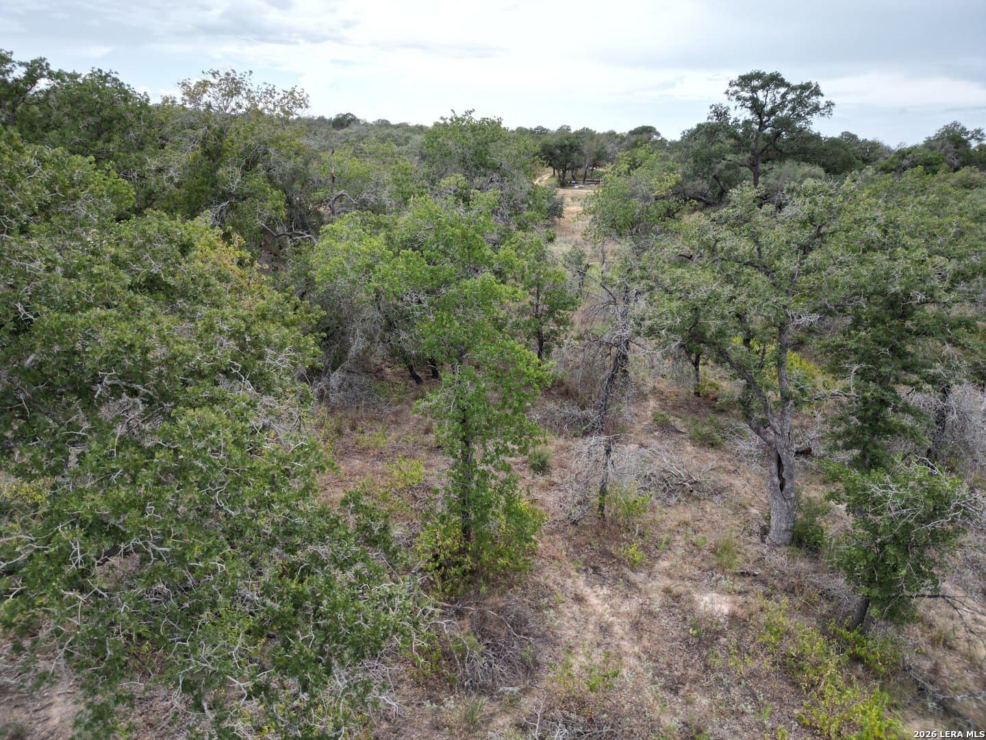 1.04 acres in Wilson County - photo 9