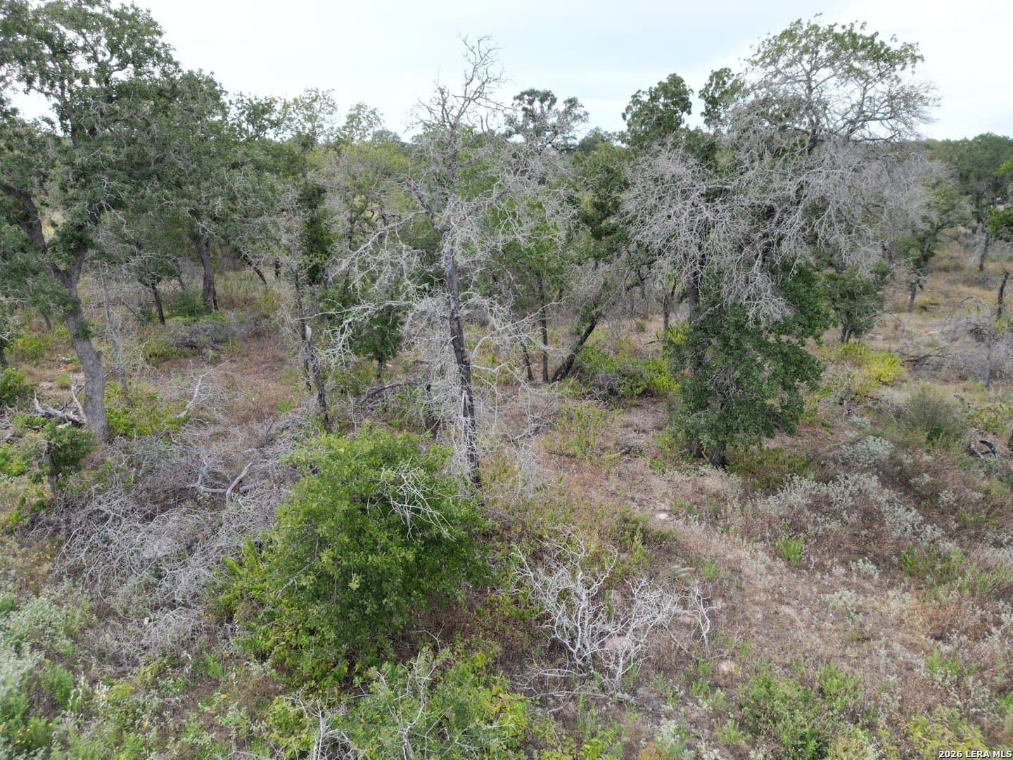 1.04 acres in Wilson County - photo 7
