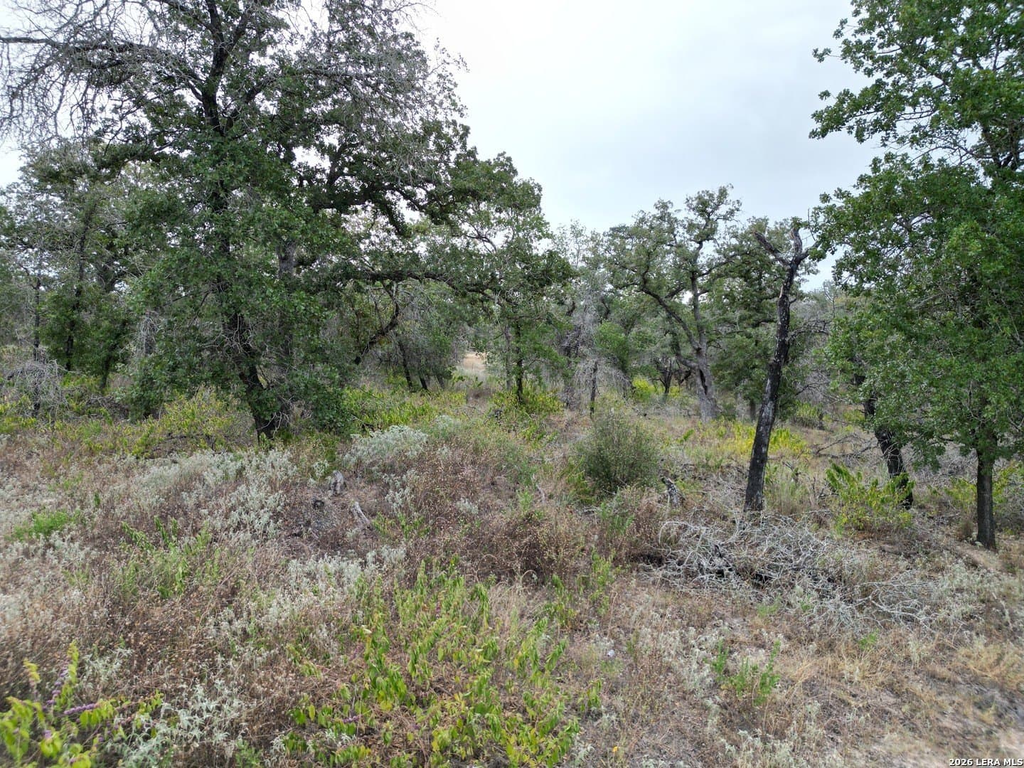 1.04 acres in Wilson County