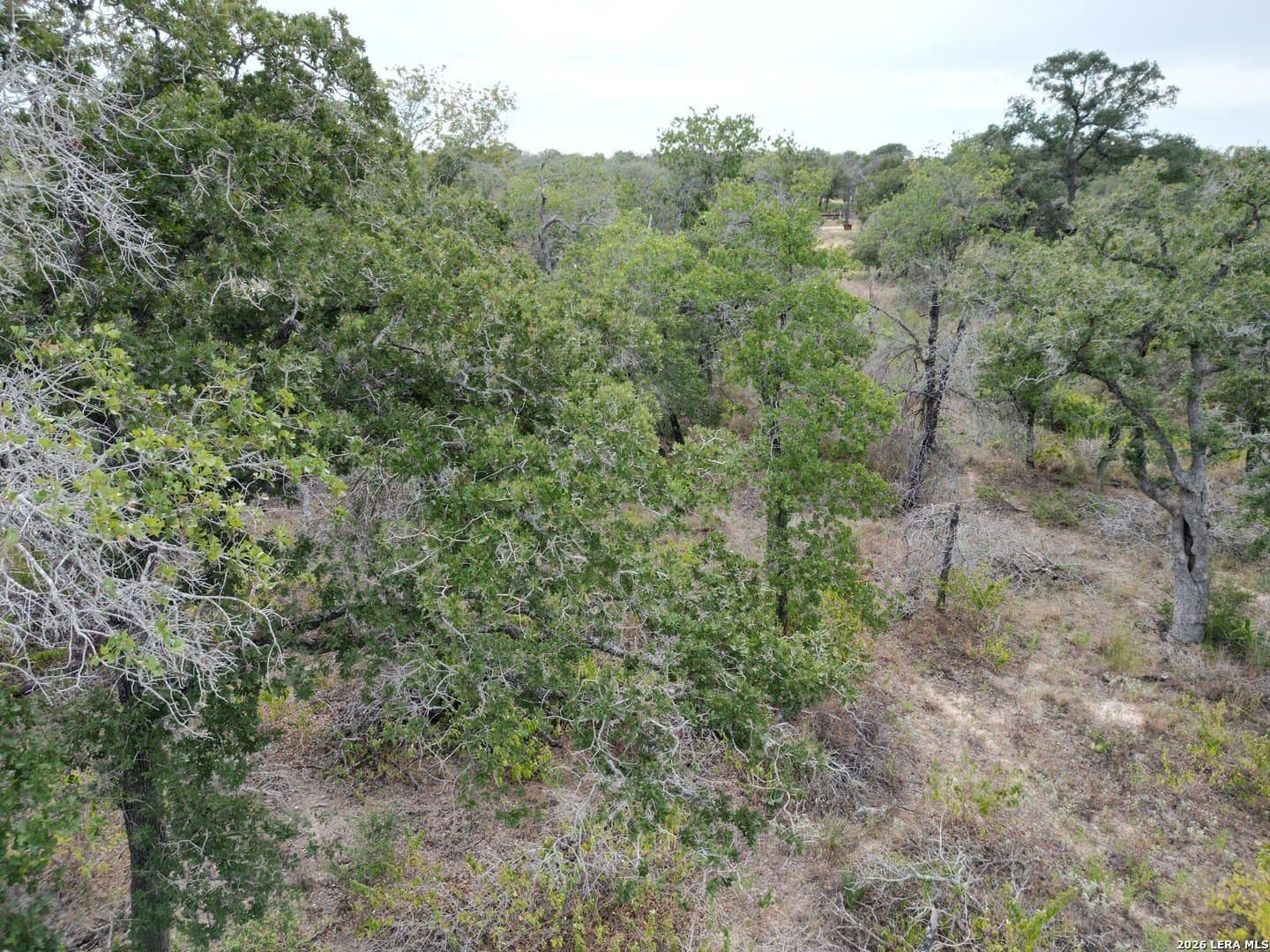 1.04 acres in Wilson County - photo 8
