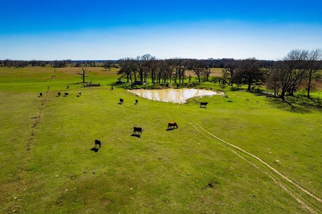 10.01 acres in Henderson County