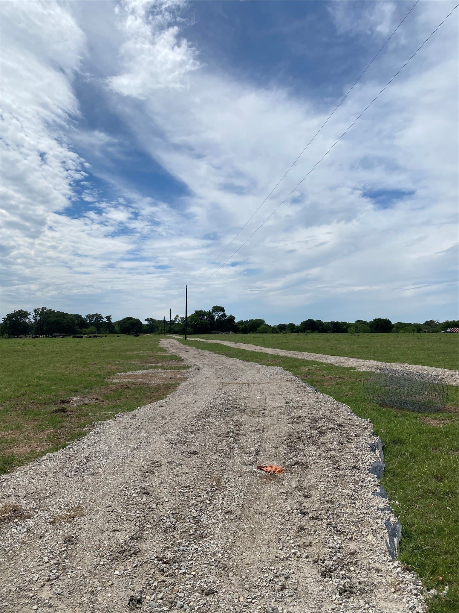 10.01 acres in Henderson County gallery image 4