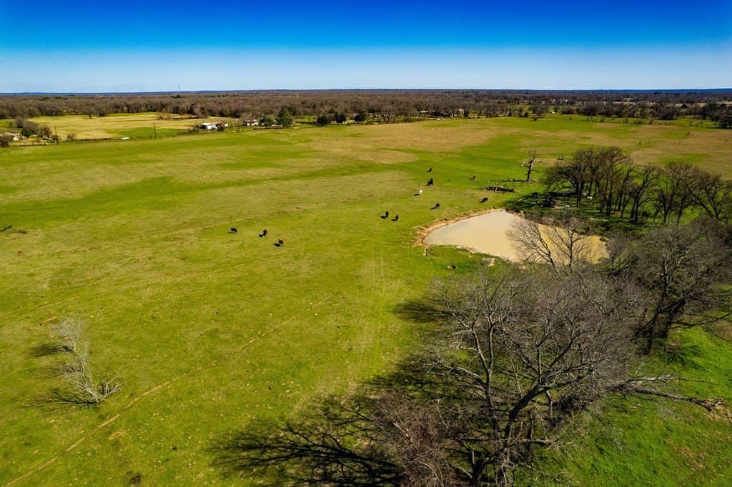 10.01 acres in Henderson County gallery image 2