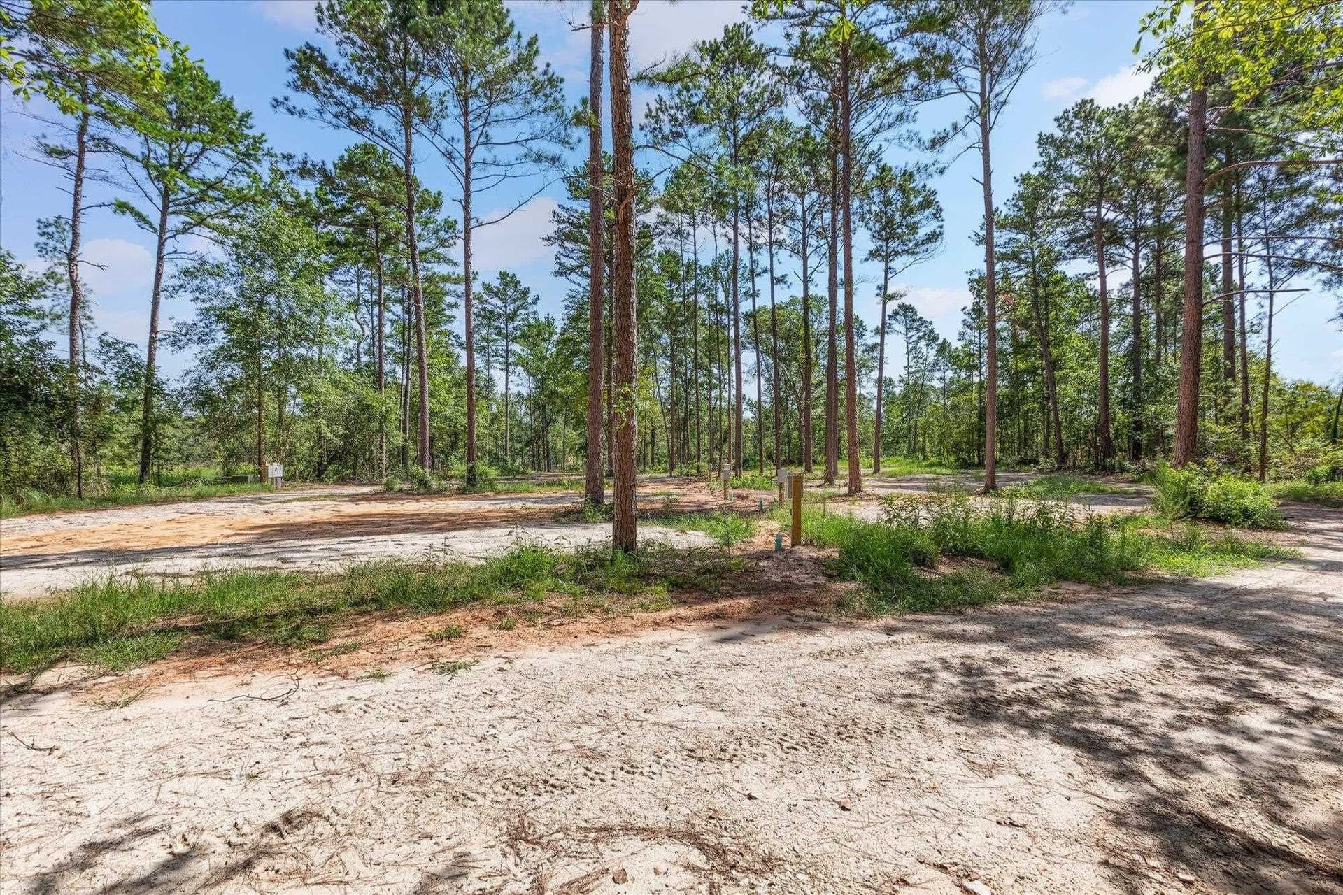 76.79 acres in Anderson County - photo 20
