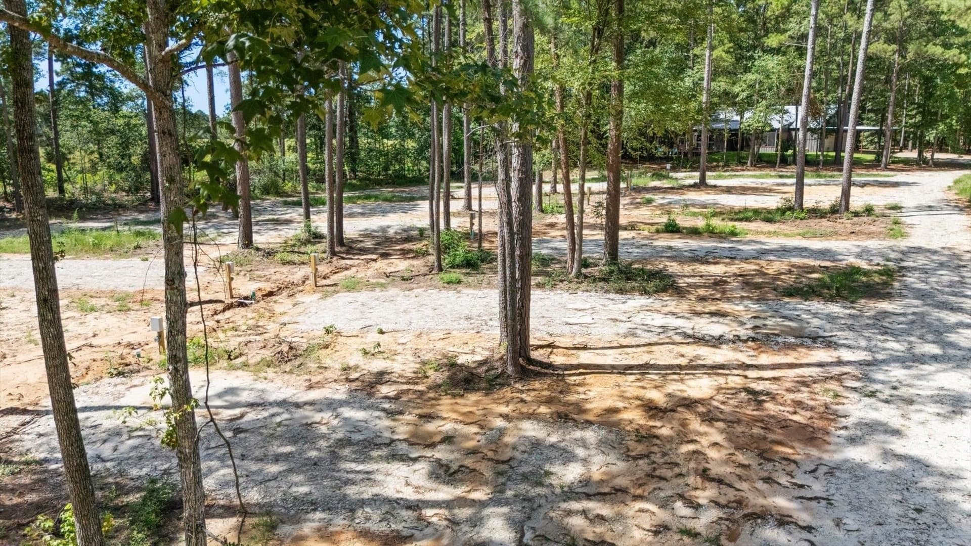 76.79 acres in Anderson County - photo 5