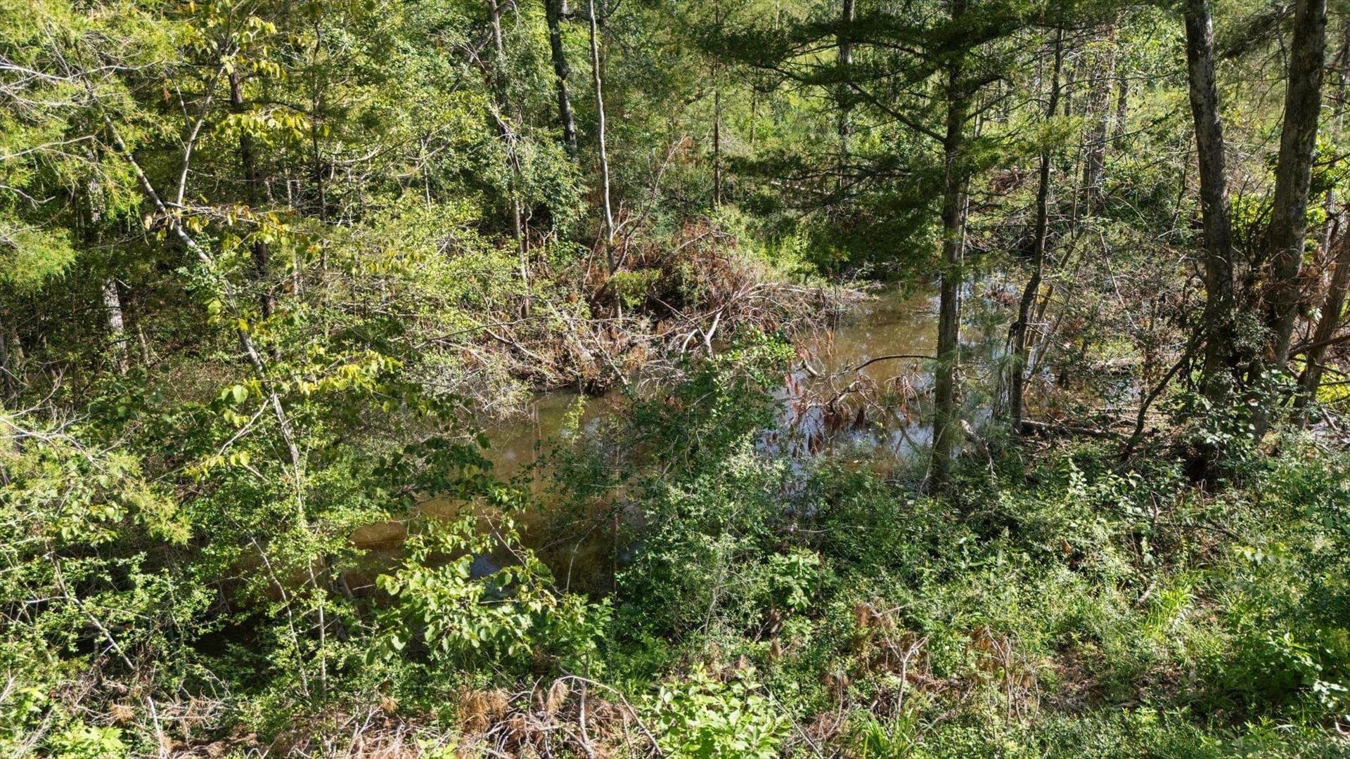 76.79 acres in Anderson County - photo 10