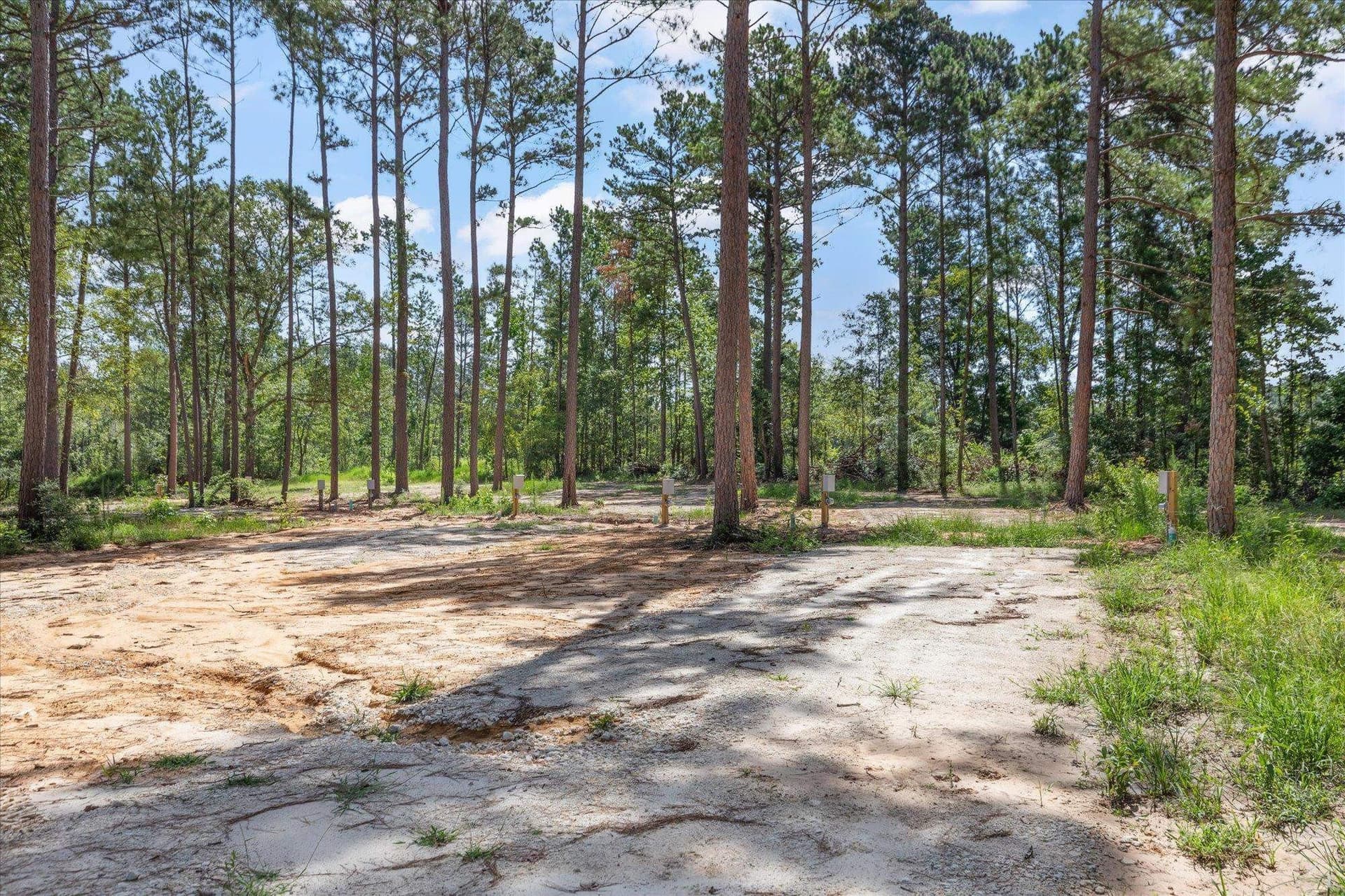 76.79 acres in Anderson County - photo 17