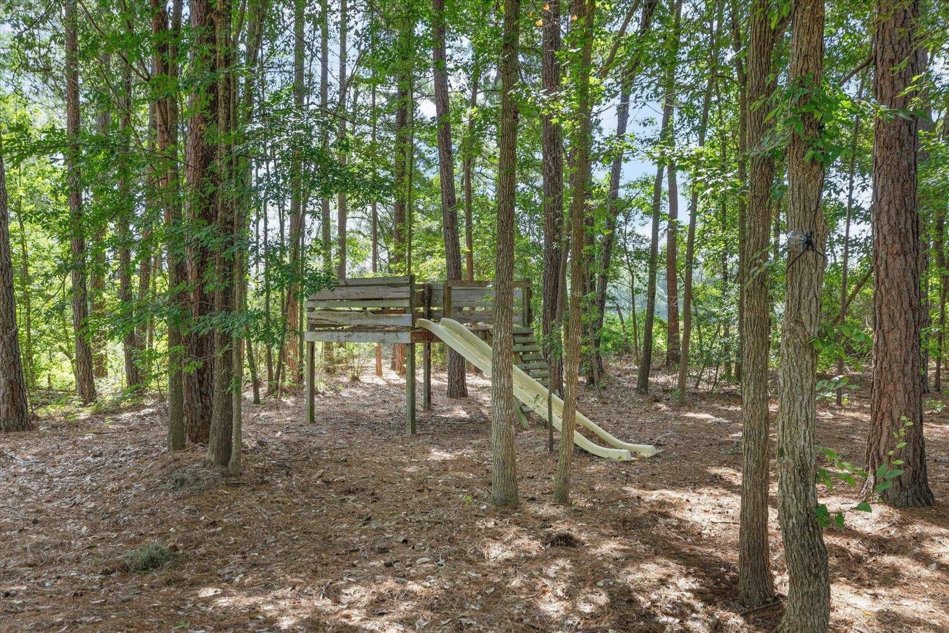 76.79 acres in Anderson County - photo 22
