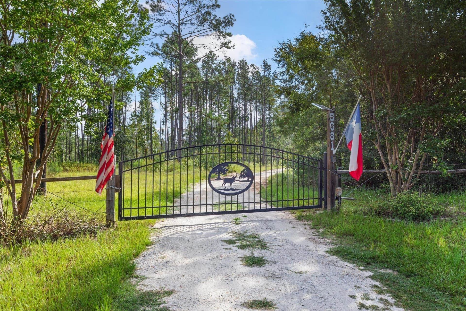 76.79 acres in Anderson County