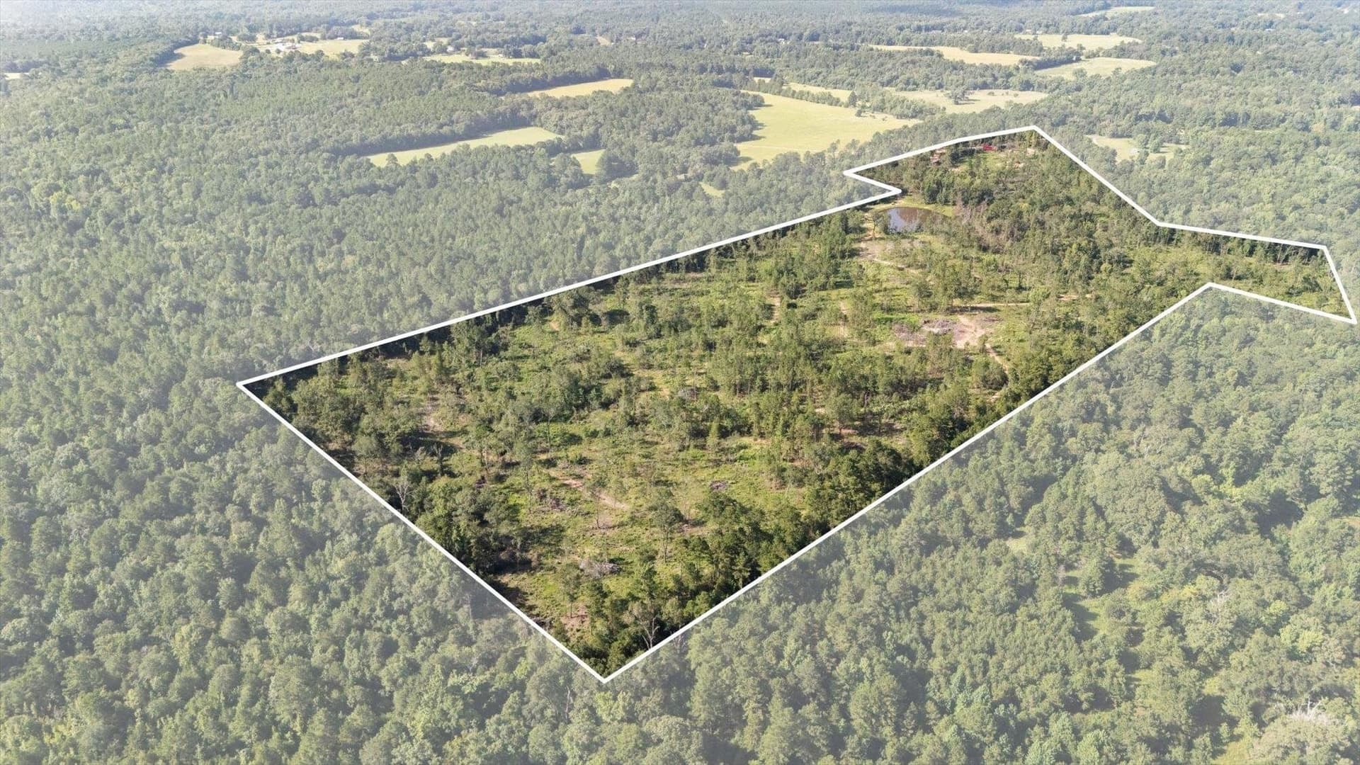 76.79 acres in Anderson County - photo 7