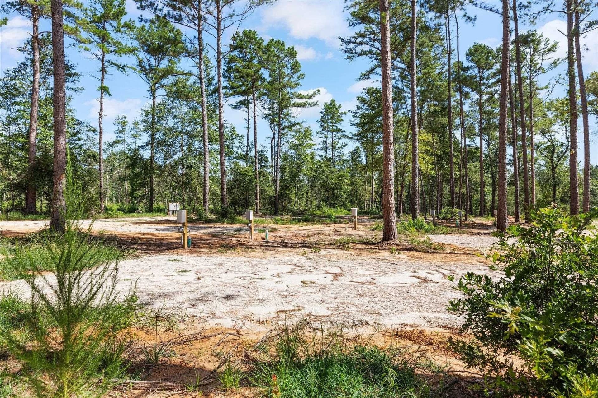 76.79 acres in Anderson County - photo 18