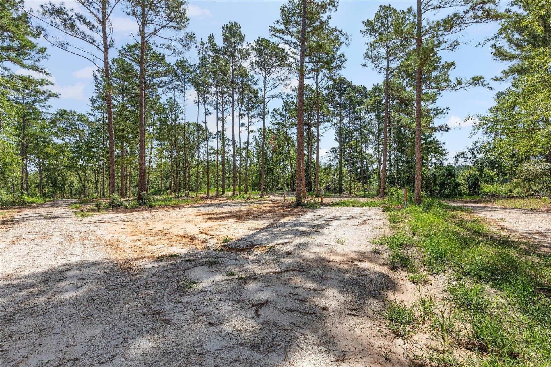 76.79 acres in Anderson County - photo 19