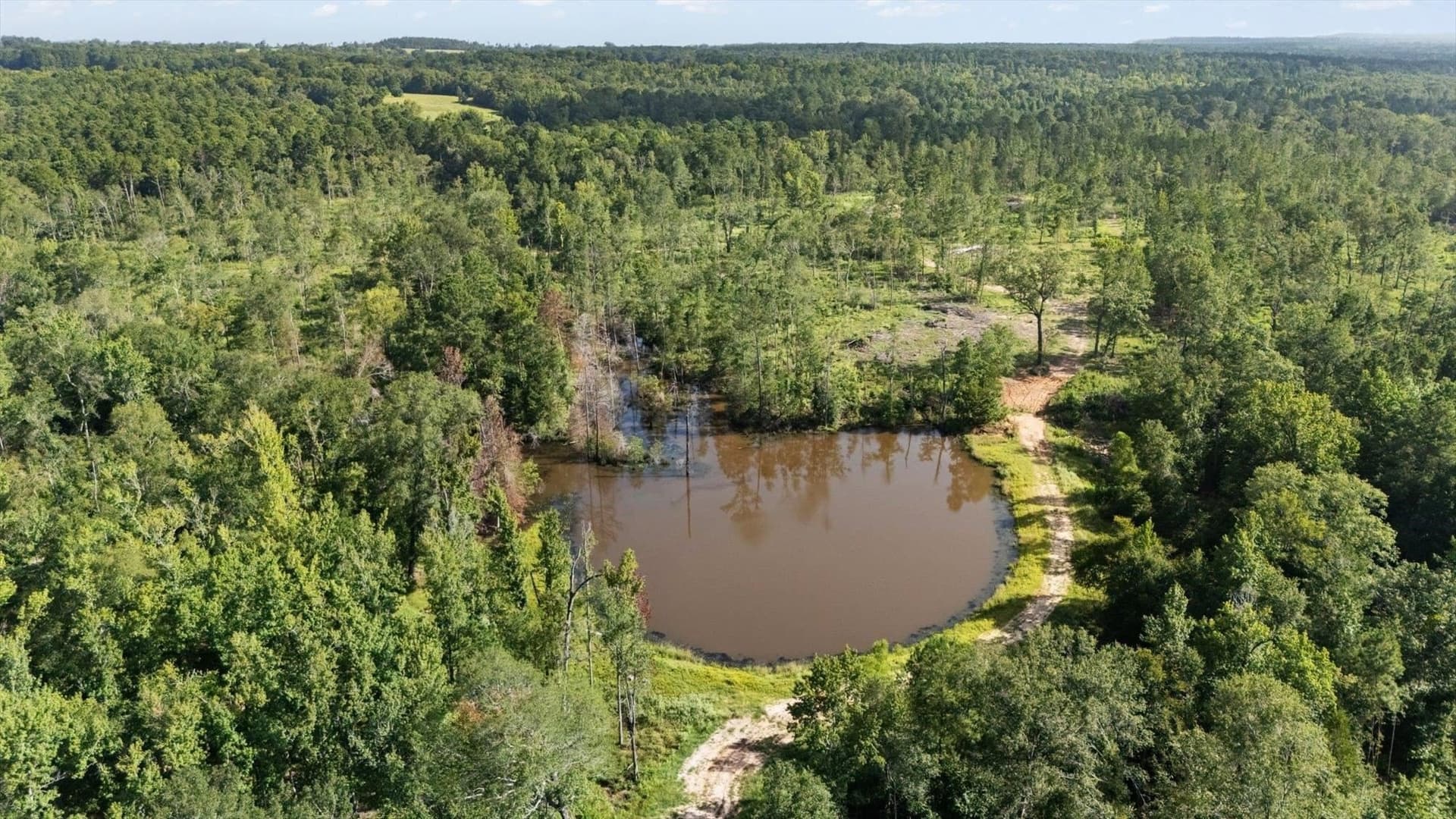 76.79 acres in Anderson County - photo 12