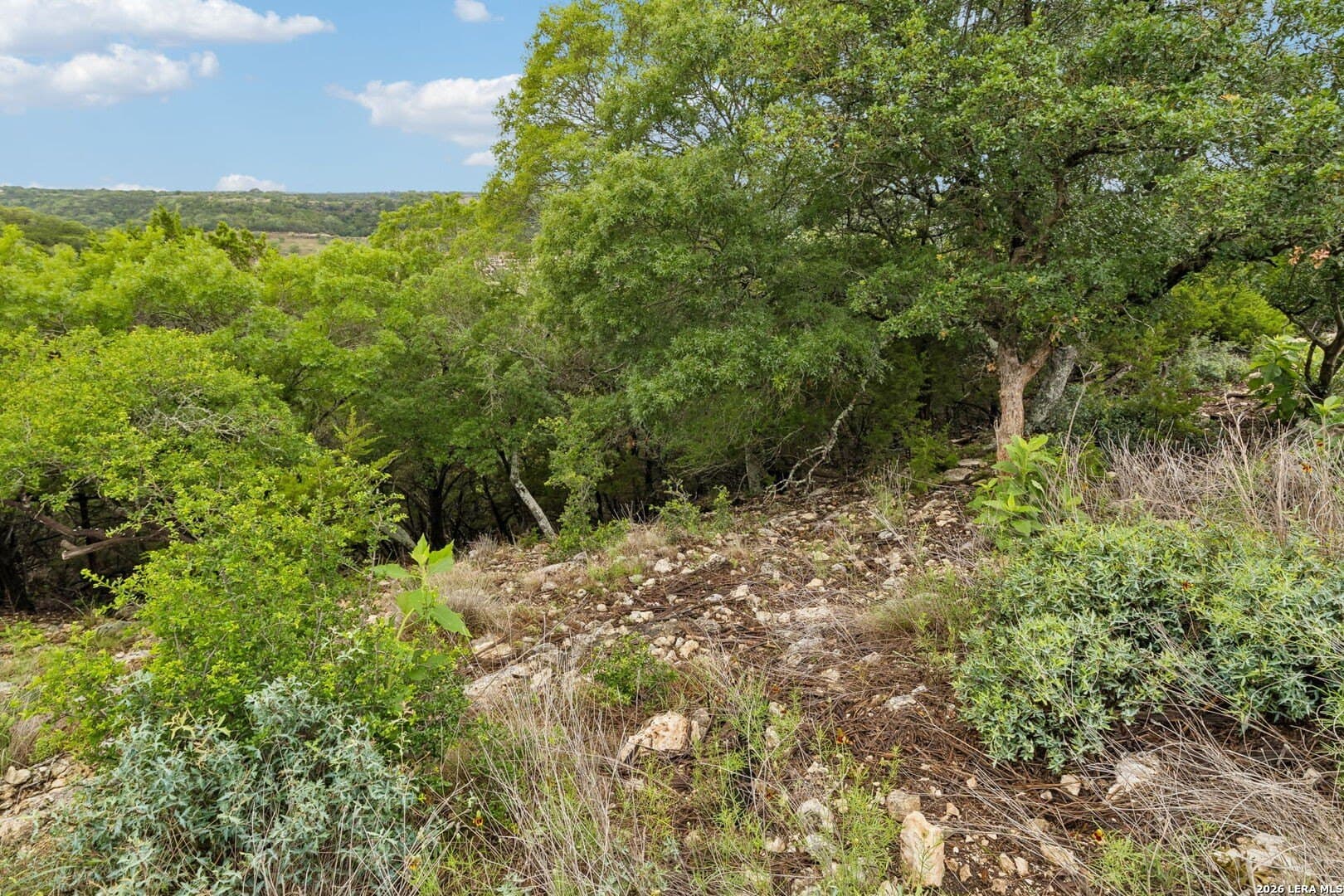 0.27 acres in Kendall County - photo 8