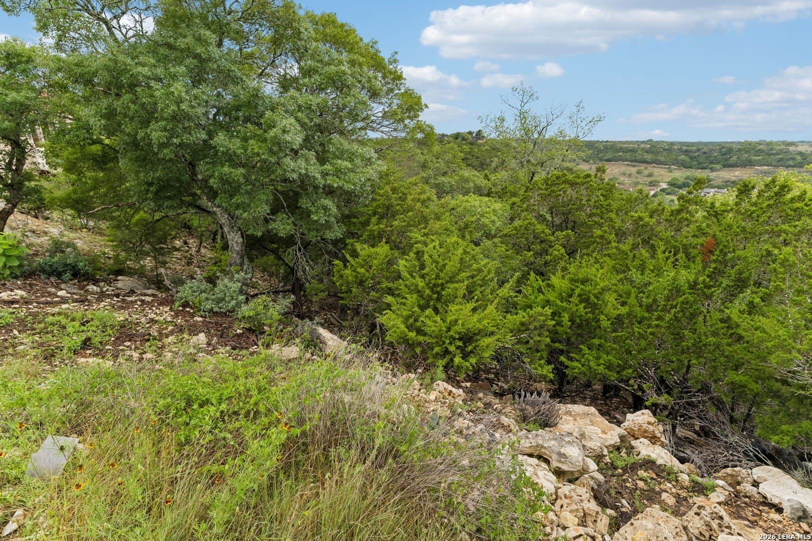 0.27 acres in Kendall County - photo 37