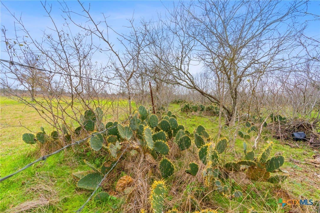 3.57 acres in Bastrop County - photo 10