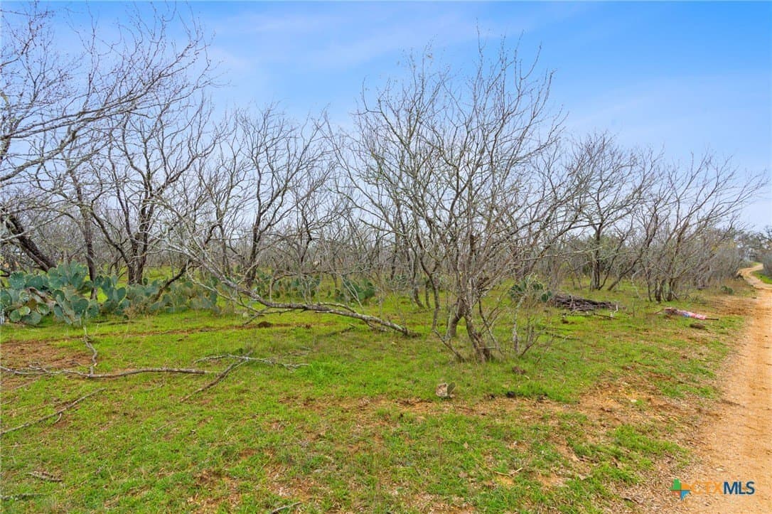 3.57 acres in Bastrop County - photo 12