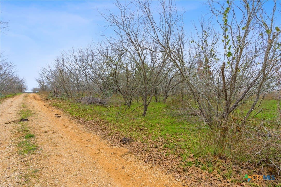 3.57 acres in Bastrop County - photo 15
