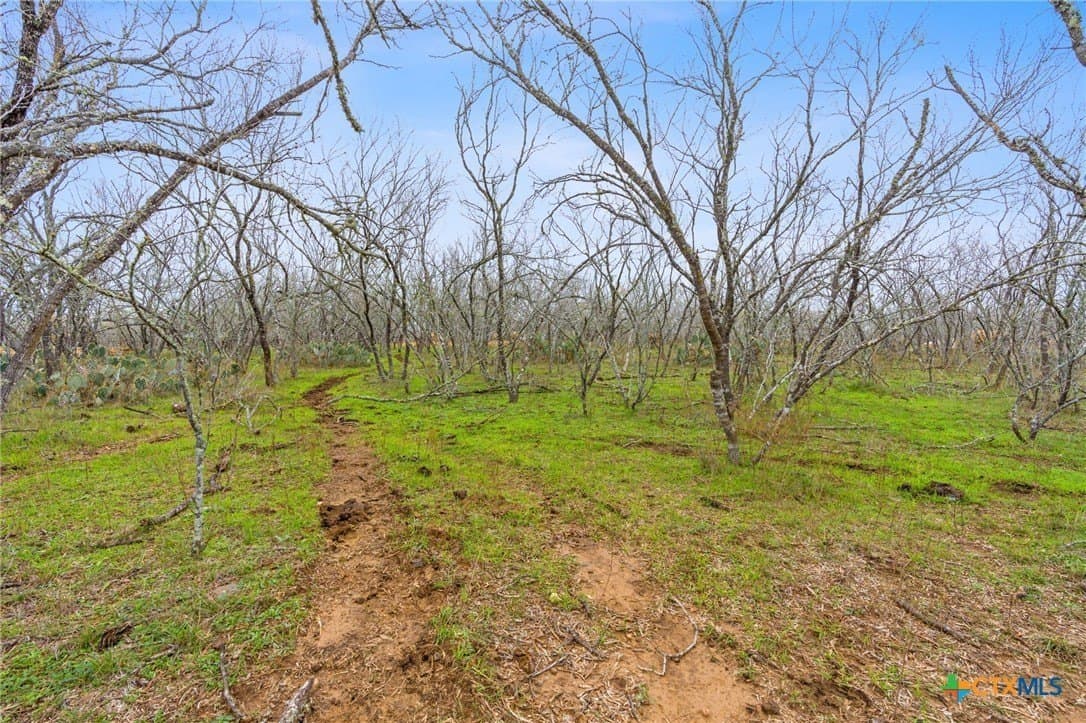 3.57 acres in Bastrop County - photo 11