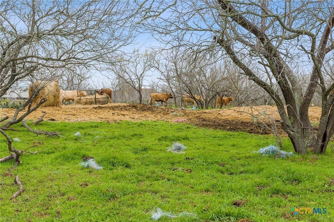 3.57 acres in Bastrop County - photo 7
