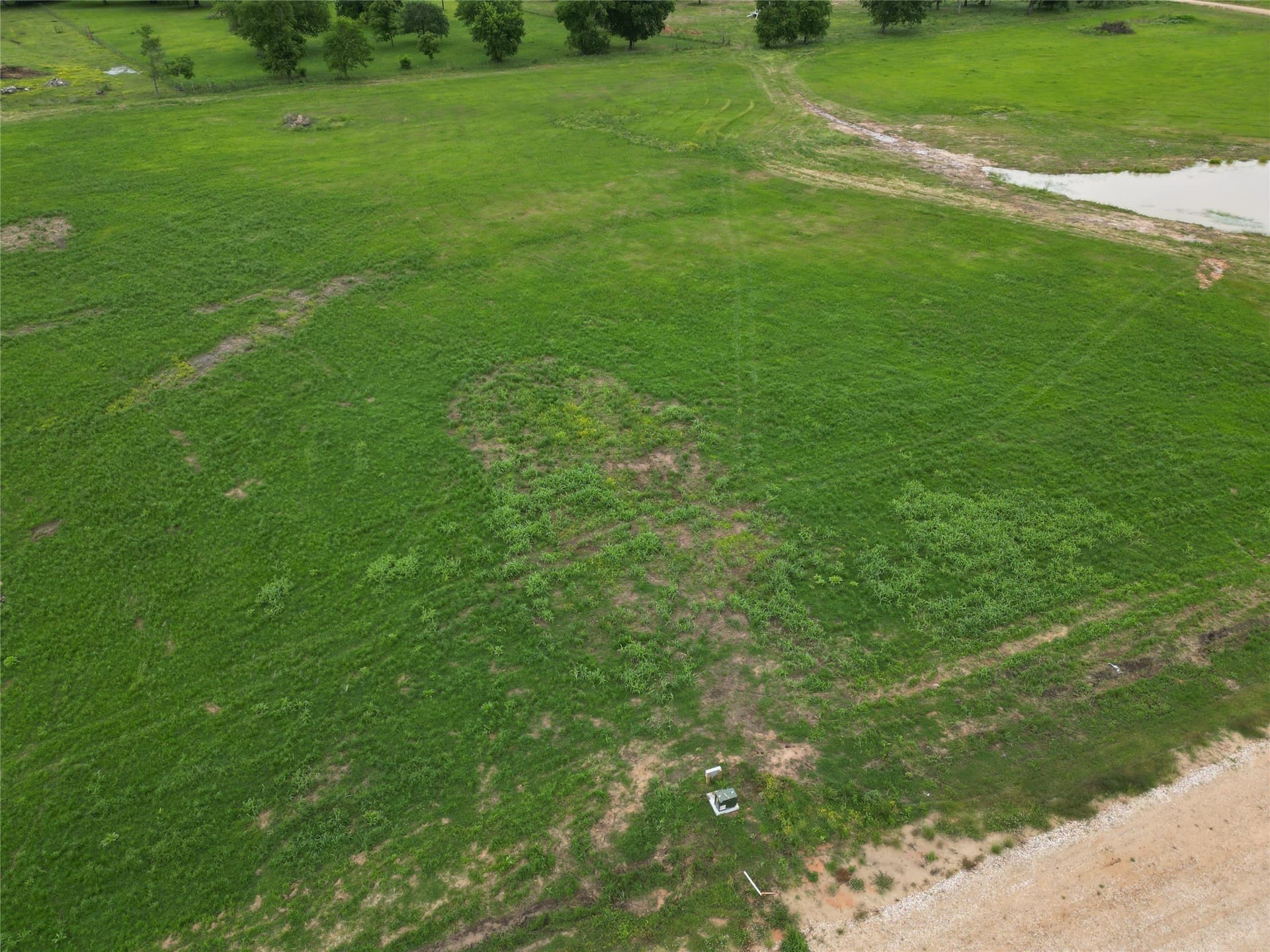 3.7 acres in Wood County gallery image 3