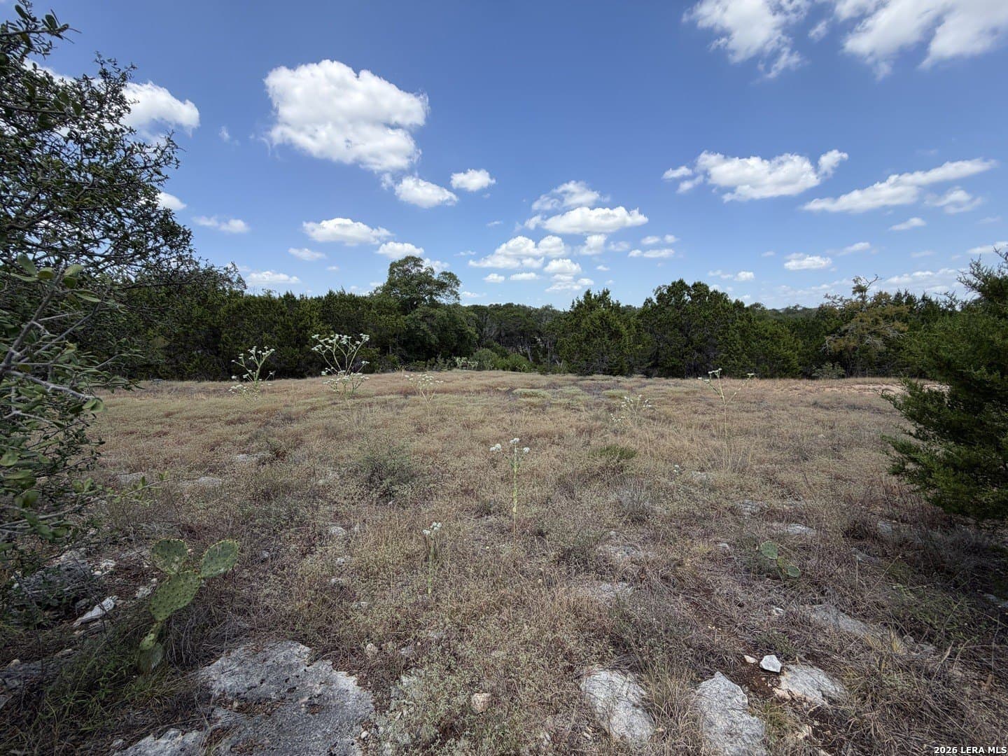 0.74 acres in Kendall County - photo 5