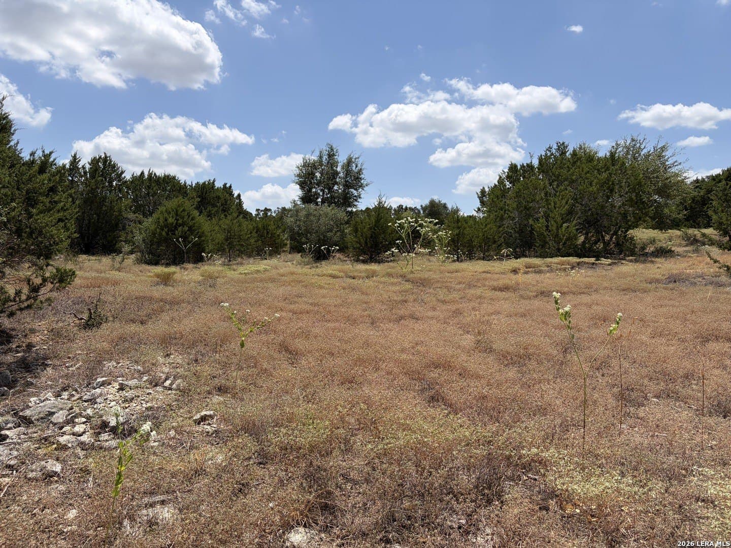 0.74 acres in Kendall County - photo 2