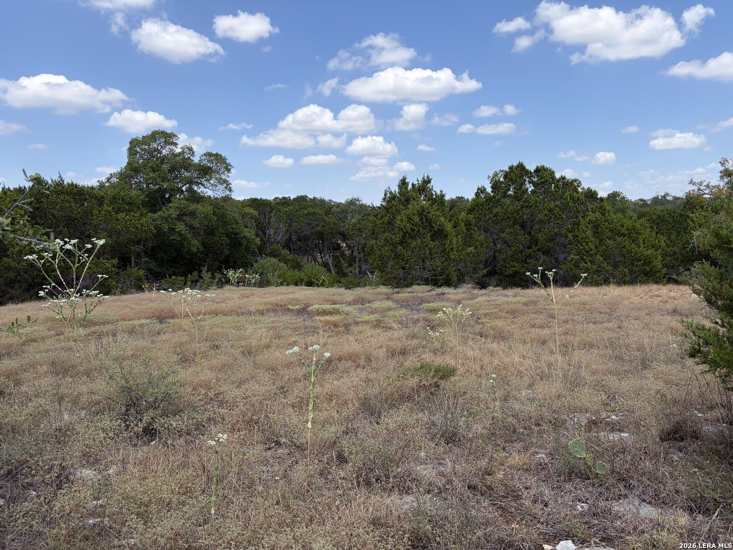 0.74 acres in Kendall County - photo 4