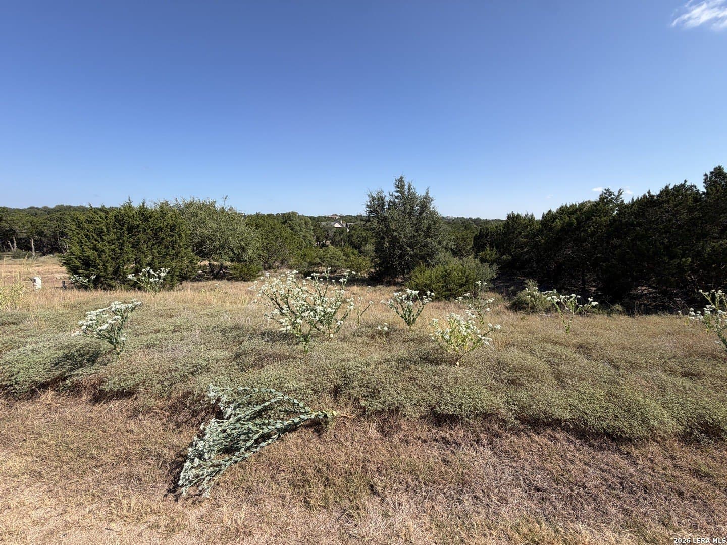 0.74 acres in Kendall County - photo 9