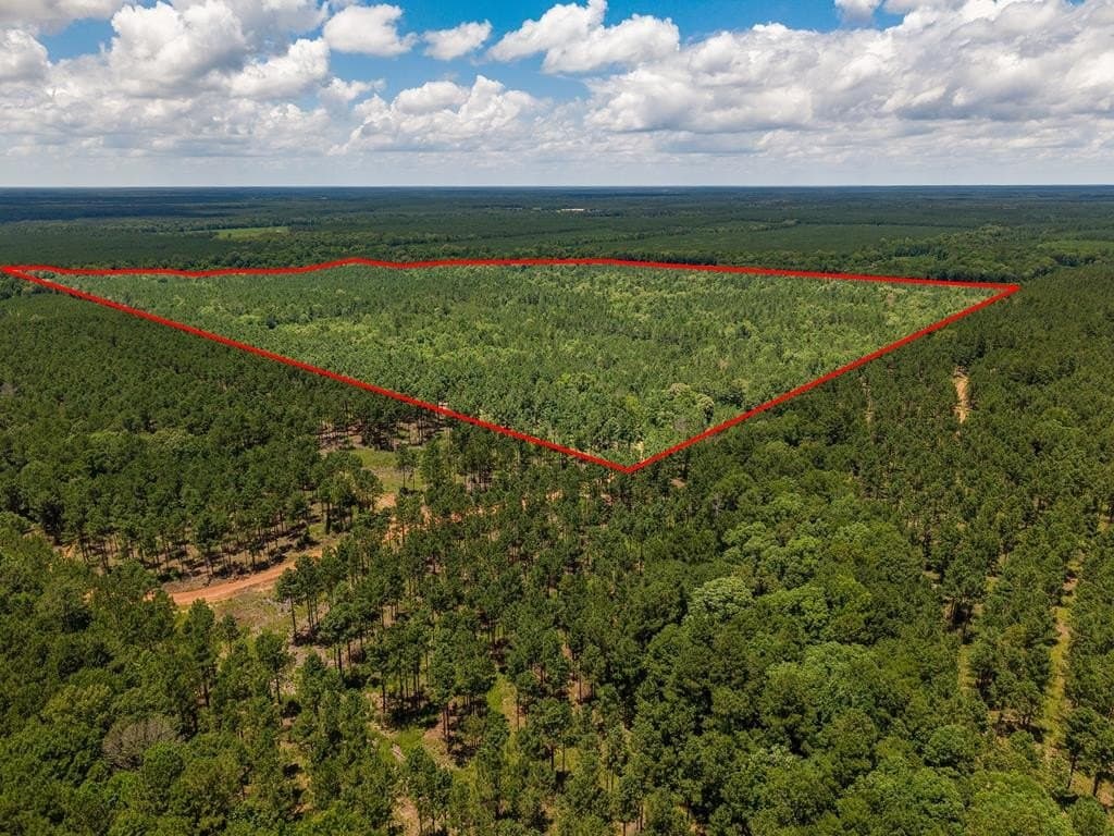 173.31 acres in Texas County
