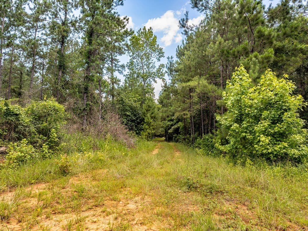 173.31 acres in Texas County - photo 7