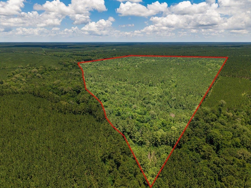 173.31 acres in Texas County - photo 6