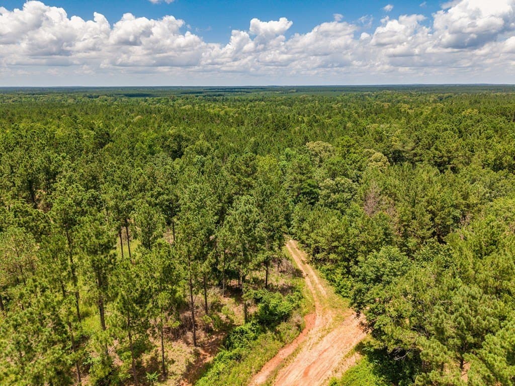 173.31 acres in Texas County - photo 8