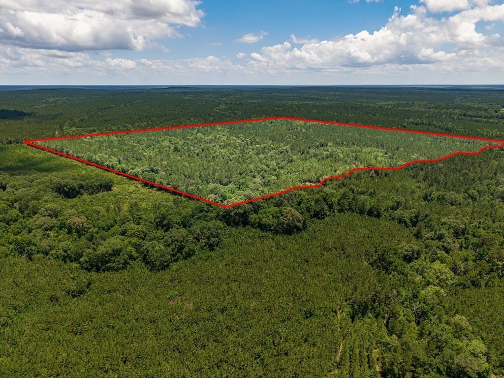 173.31 acres in Texas County featured view