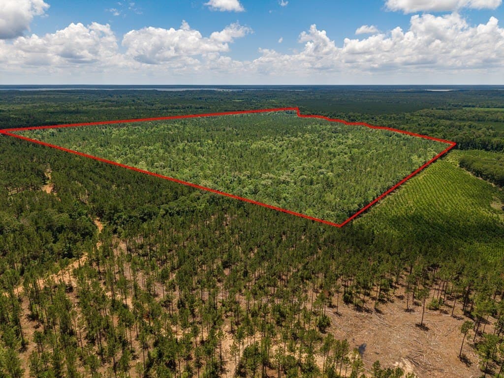 173.31 acres in Texas County gallery image 3