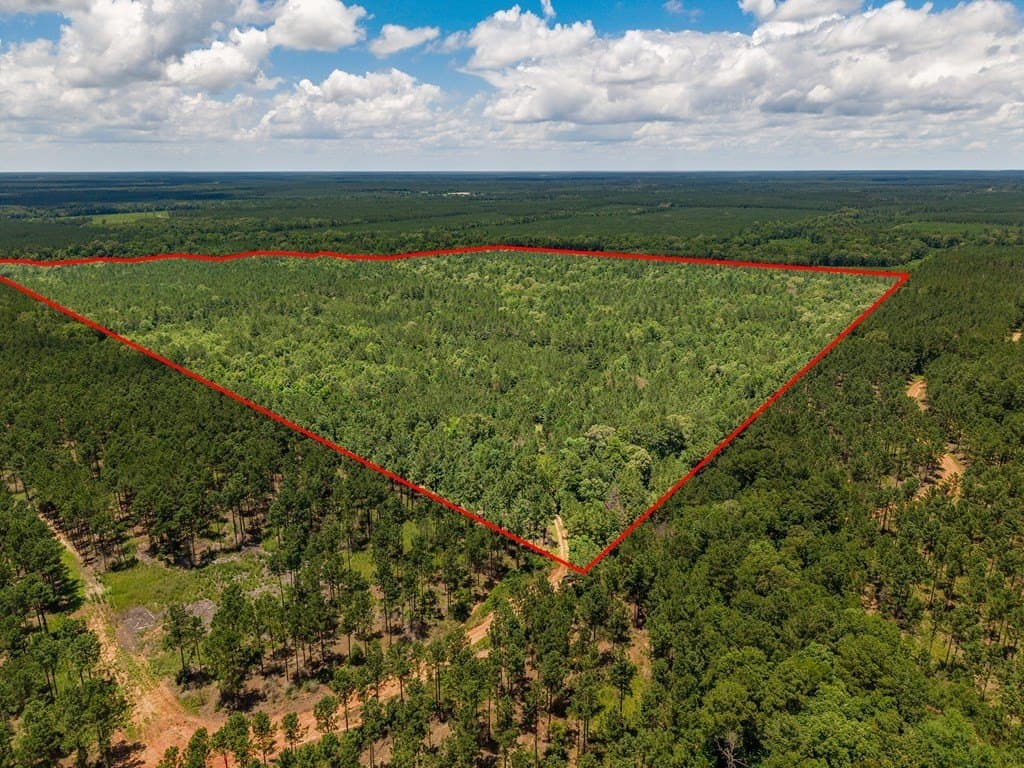 173.31 acres in Texas County gallery image 2
