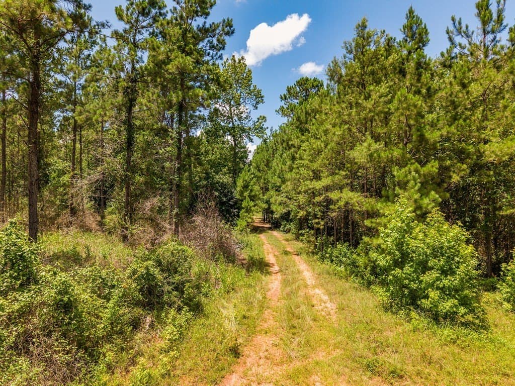 173.31 acres in Texas County - photo 9