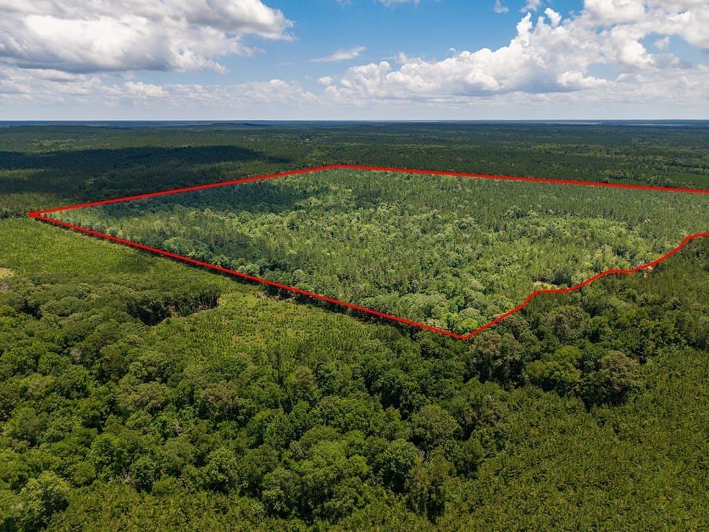 173.31 acres in Texas County gallery image 4