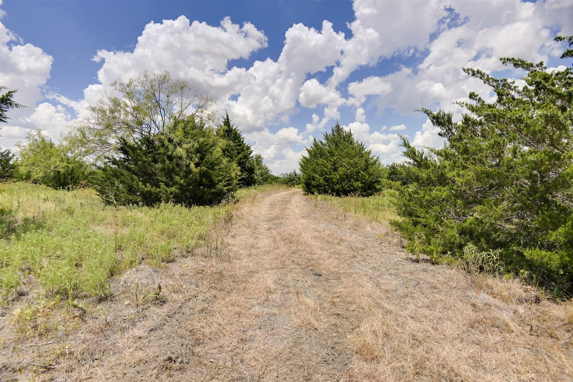 70.42 acres in Ellis County - photo 17