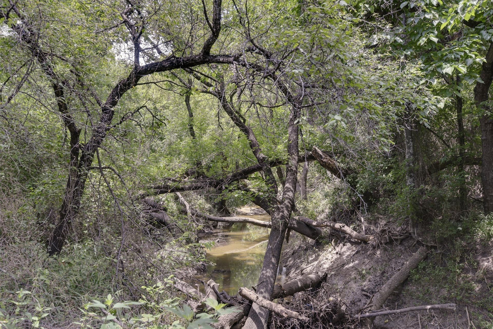 70.42 acres in Ellis County - photo 14