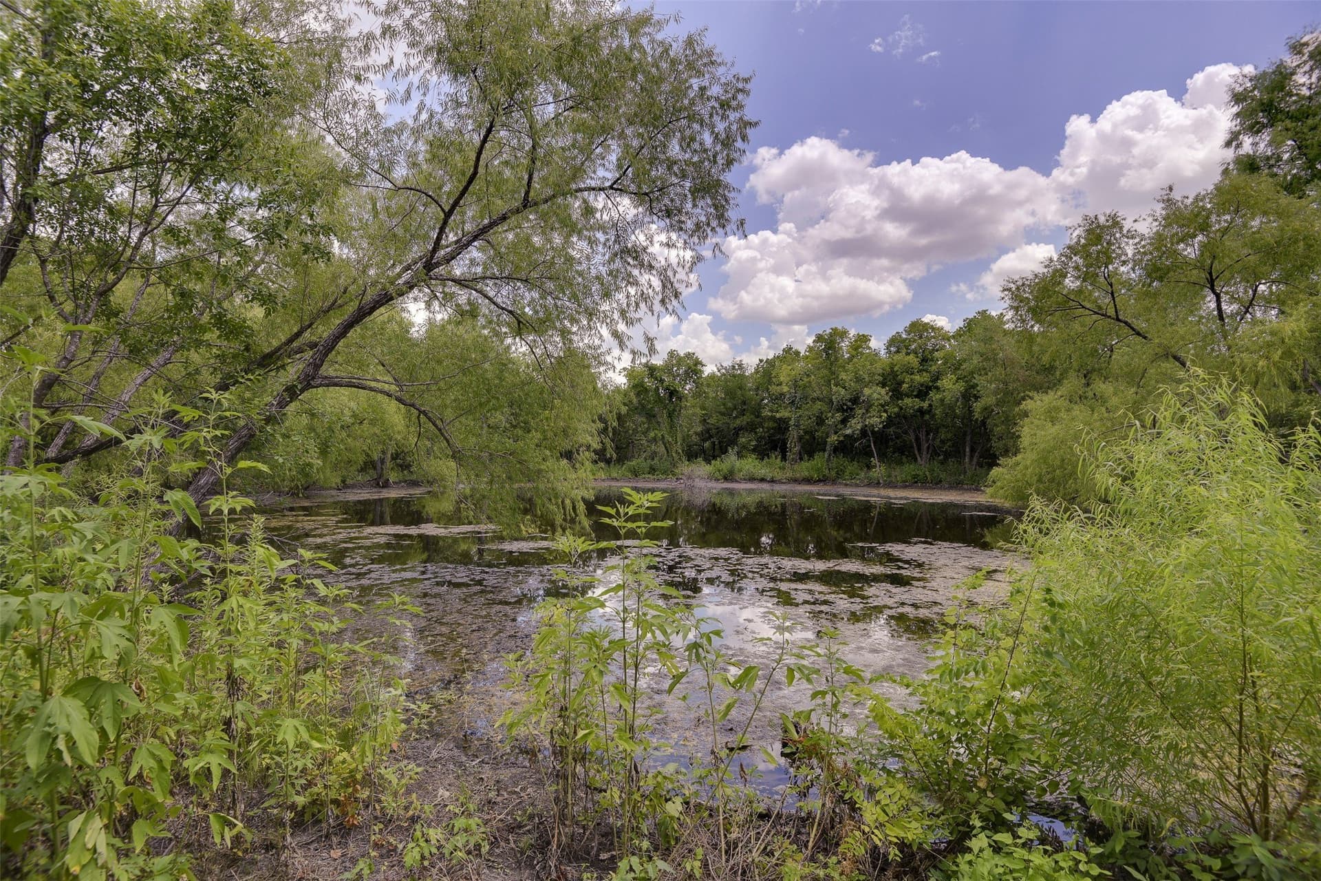 70.42 acres in Ellis County - photo 6