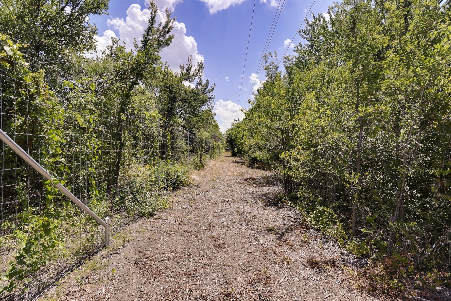 70.42 acres in Ellis County - photo 11