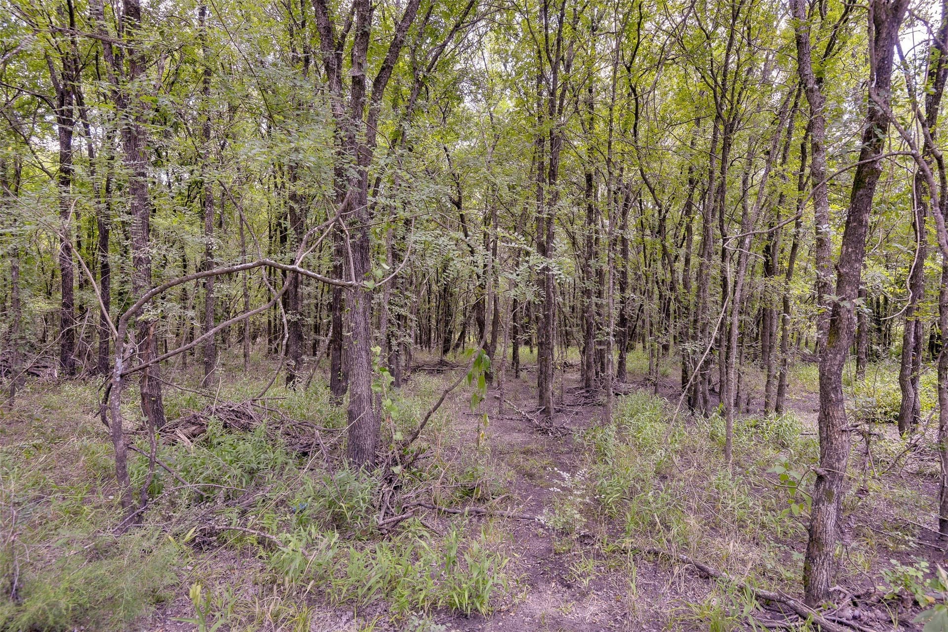 70.42 acres in Ellis County - photo 15