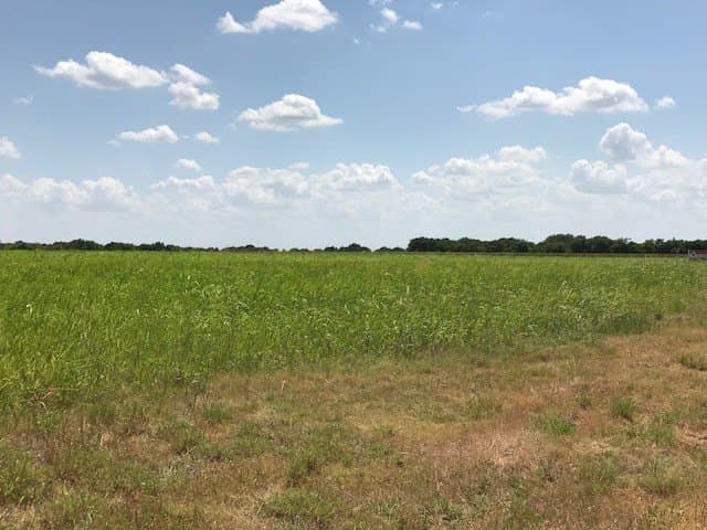 10.84 acres in Hill County - photo 4