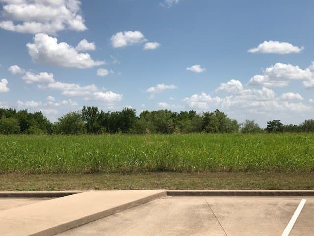10.84 acres in Hill County - photo 6