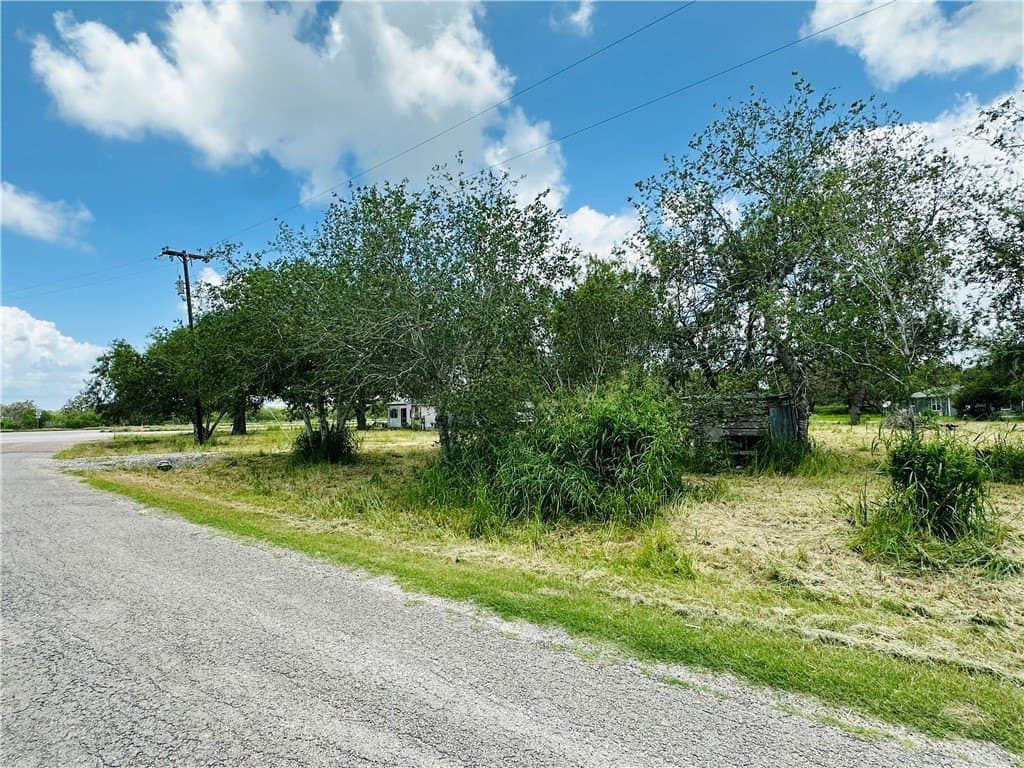 2.17 acres in Bee County - photo 7